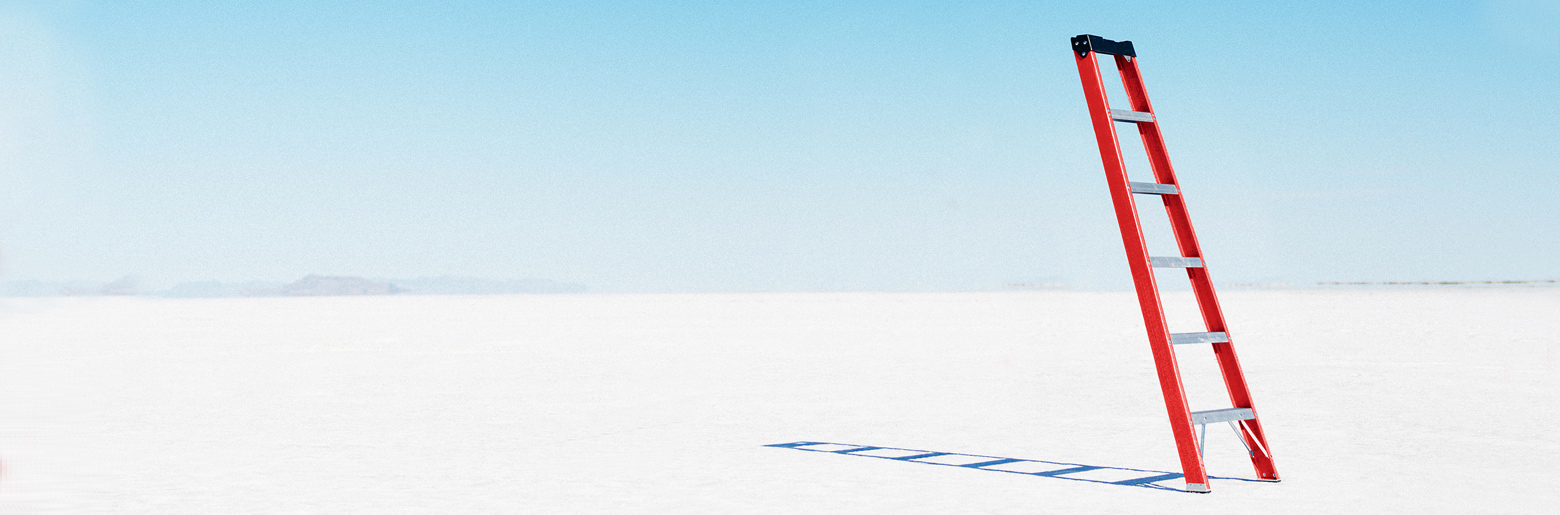 GROWTH DEVELOPMENT TRUST