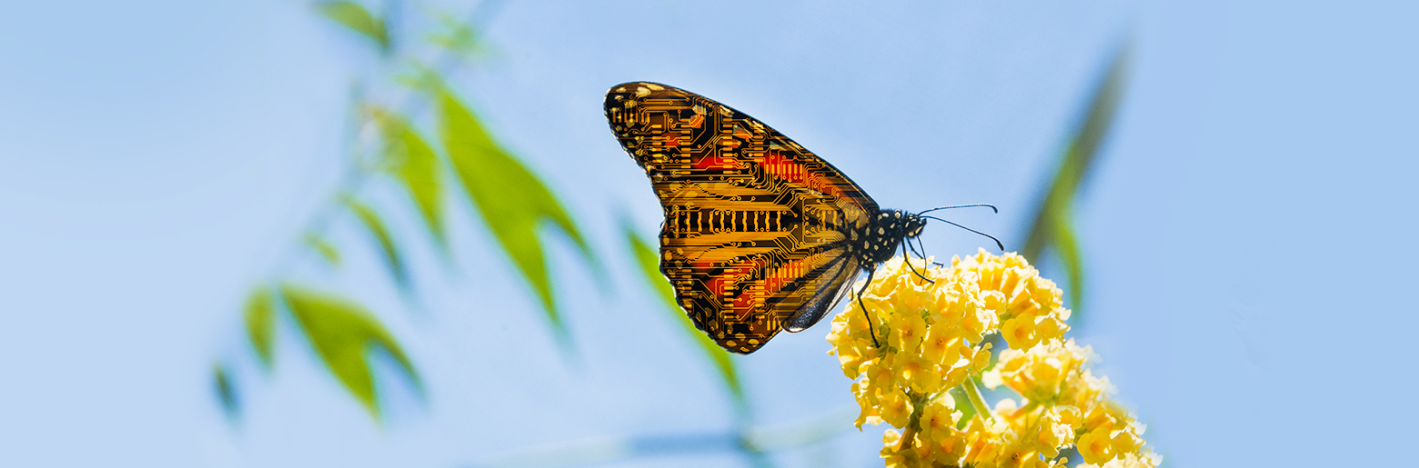 Histoire de Sopra Steria Group